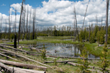 Départ de la randonnée de Lewis Lake