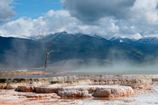 Mammoth Hot Springs Terraces