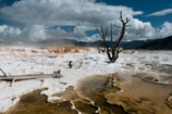 Mammoth Hot Springs Terraces