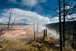 Mammoth Hot Springs Terraces