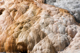 Mammoth Hot Springs Terraces