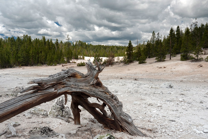 Yellowstone National Park