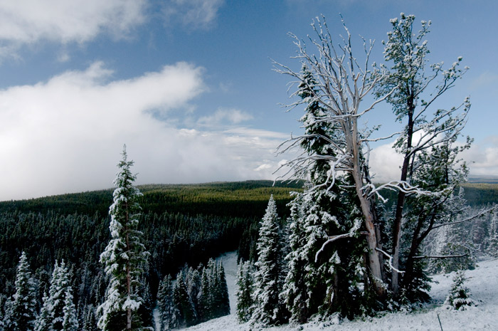 la route de Dunraven Pass