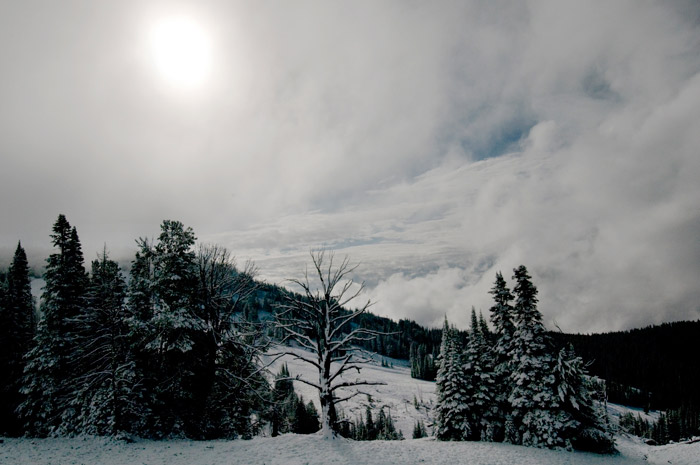 neige sur Yellowstone