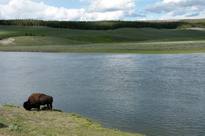 Hayden Valley