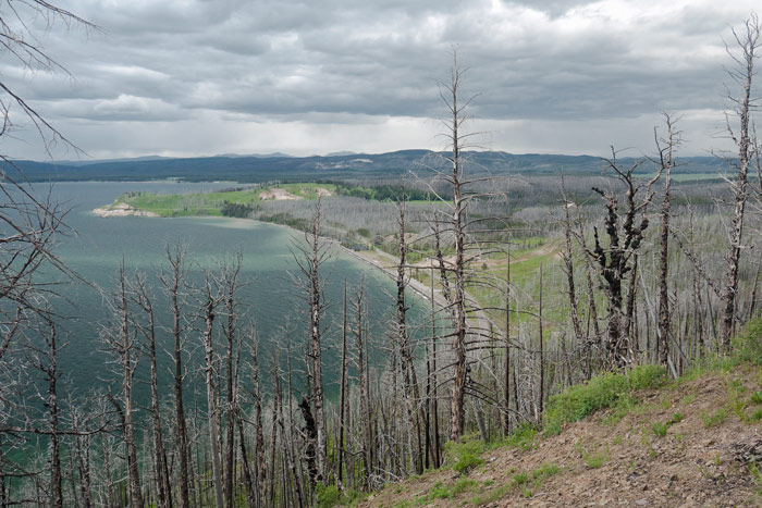 Yellowstone lake