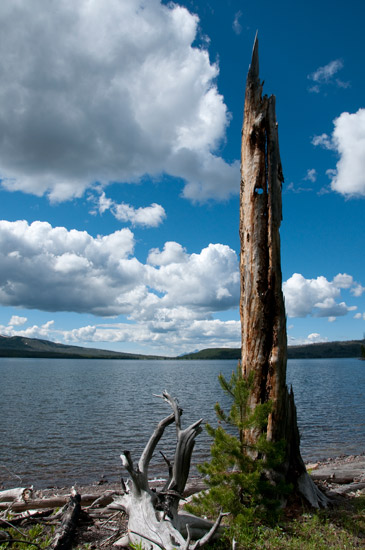 randonnée de Lewis Lake