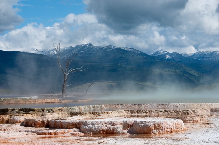 Mammoth Hot Springs