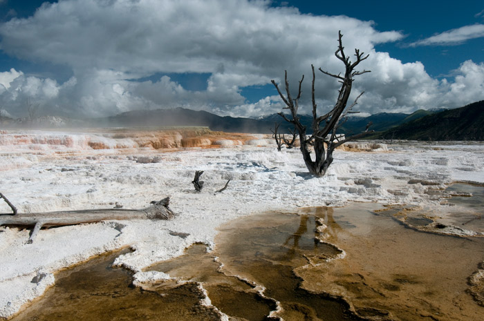 Mammoth Hot Springs