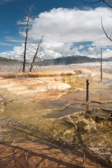 Mammoth Hot Springs