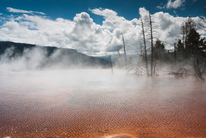 Mammoth Hot Springs